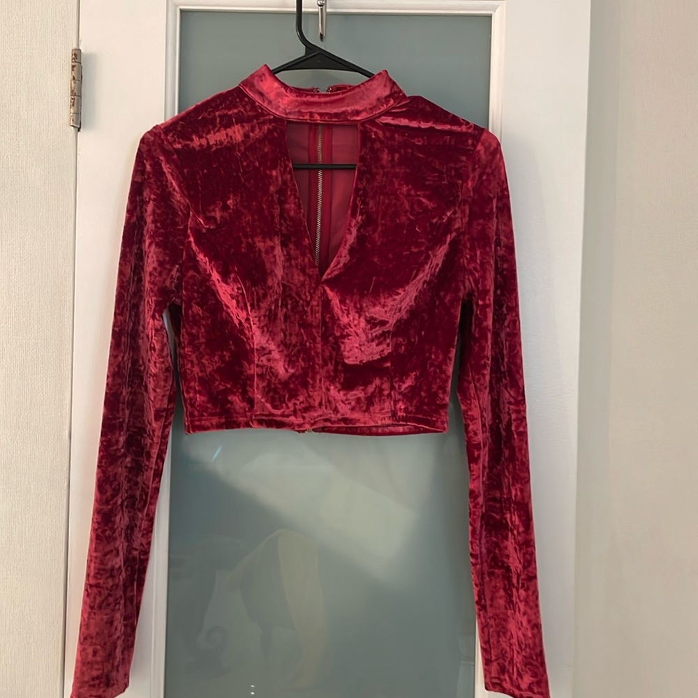 NWOT essue velvet crop top